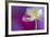 Color Drop Symphony-Heidi Westum-Framed Photographic Print