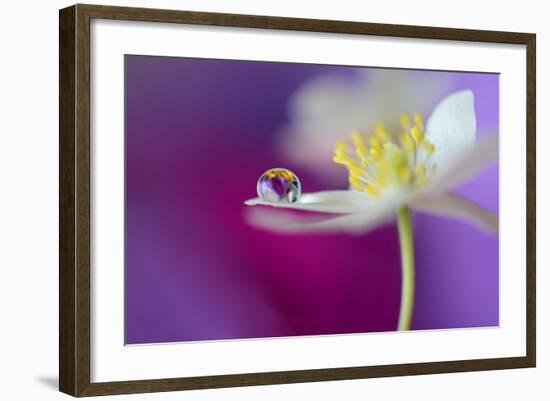 Color Drop Symphony-Heidi Westum-Framed Photographic Print