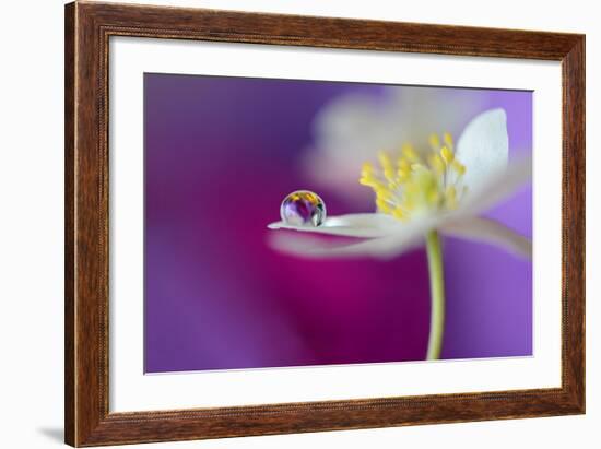 Color Drop Symphony-Heidi Westum-Framed Photographic Print