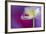 Color Drop Symphony-Heidi Westum-Framed Photographic Print