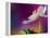 Color Drop Symphony-Heidi Westum-Framed Premier Image Canvas