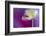 Color Drop Symphony-Heidi Westum-Framed Photographic Print