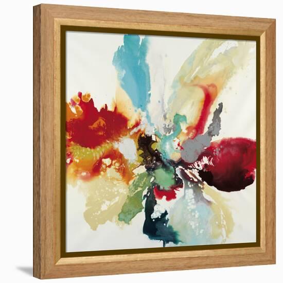 Color Expression-Randy Hibberd-Framed Stretched Canvas