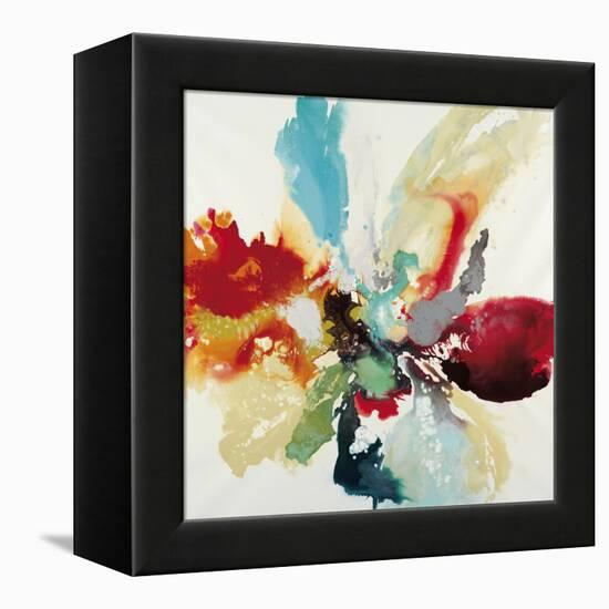 Color Expression-Randy Hibberd-Framed Stretched Canvas