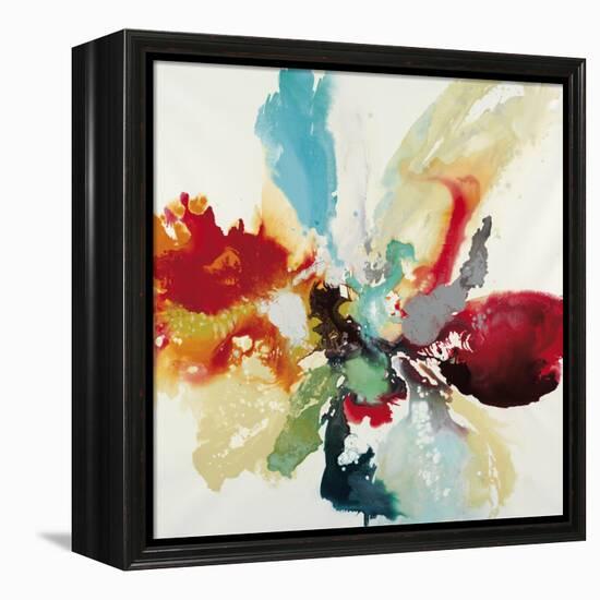 Color Expression-Randy Hibberd-Framed Stretched Canvas