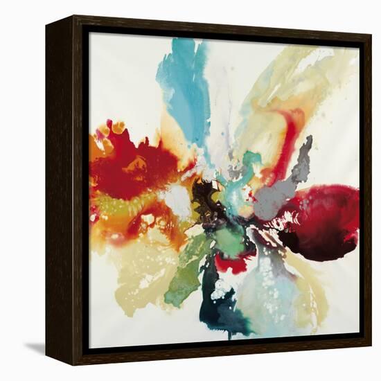 Color Expression-Randy Hibberd-Framed Stretched Canvas