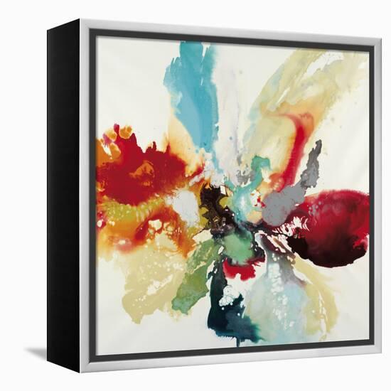 Color Expression-Randy Hibberd-Framed Stretched Canvas