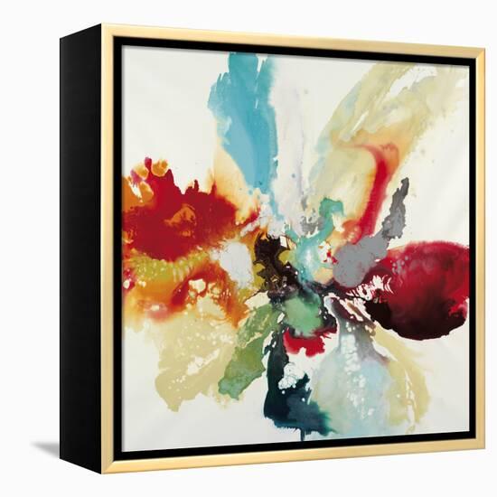 Color Expression-Randy Hibberd-Framed Stretched Canvas