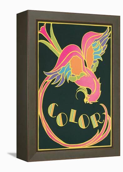 Color, Fantastic Bird-null-Framed Stretched Canvas
