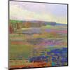 Color Field 24-Jane Schmidt-Mounted Art Print