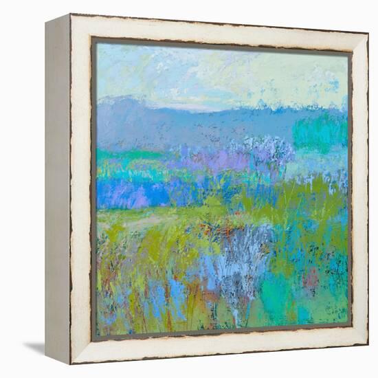 Color Field 41-Jane Schmidt-Framed Stretched Canvas