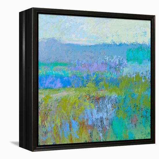 Color Field 41-Jane Schmidt-Framed Stretched Canvas