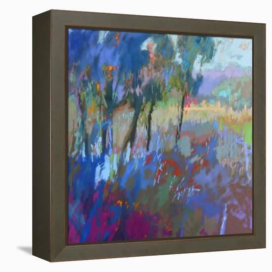 Color Field 44-Jane Schmidt-Framed Stretched Canvas