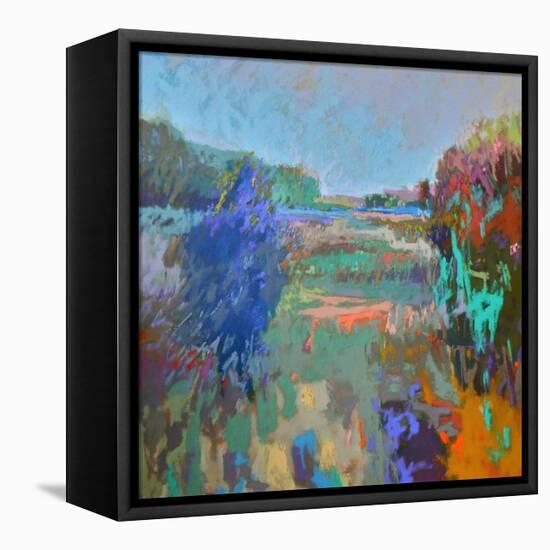 Color Field 45-Jane Schmidt-Framed Stretched Canvas