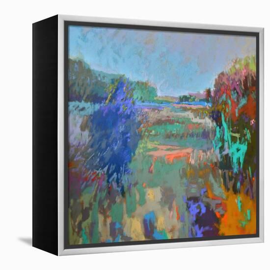 Color Field 45-Jane Schmidt-Framed Stretched Canvas