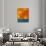 Color Field D-GI ArtLab-Premium Giclee Print displayed on a wall