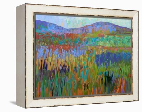 Color Field No. 68-Jane Schmidt-Framed Stretched Canvas