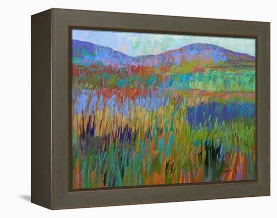 Color Field No. 68-Jane Schmidt-Framed Stretched Canvas