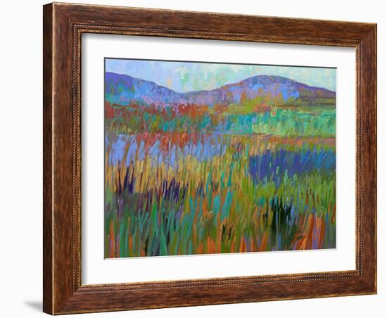 Color Field No. 68-Jane Schmidt-Framed Art Print