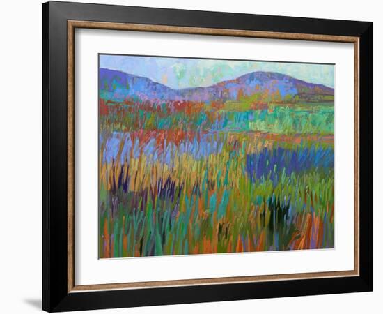 Color Field No. 68-Jane Schmidt-Framed Art Print