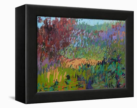 Color Field No. 72-Jane Schmidt-Framed Stretched Canvas
