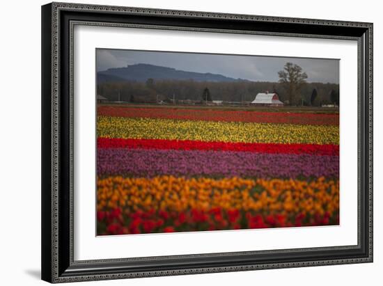 Color Field-Aaron Matheson-Framed Photographic Print