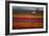 Color Field-Aaron Matheson-Framed Photographic Print