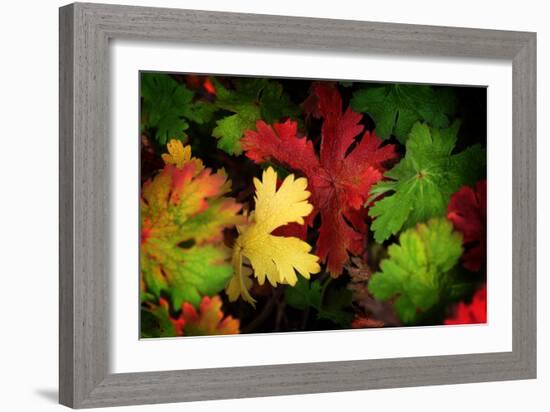 Color Flow-Philippe Sainte-Laudy-Framed Photographic Print