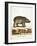 Color Lithographs with African Animals-null-Framed Giclee Print