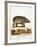 Color Lithographs with African Animals-null-Framed Giclee Print