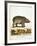 Color Lithographs with African Animals-null-Framed Giclee Print