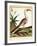 Color Lithographs with African Animals-null-Framed Giclee Print