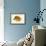 Color Lithographs with Fishes-null-Framed Giclee Print displayed on a wall