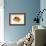 Color Lithographs with Fishes-null-Framed Giclee Print displayed on a wall