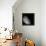 Color Mosaic of the Earth's Moon-null-Framed Premier Image Canvas displayed on a wall