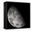 Color Mosaic of the Earth's Moon-null-Framed Premier Image Canvas