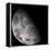 Color Mosaic of the Earth's Moon-null-Framed Premier Image Canvas