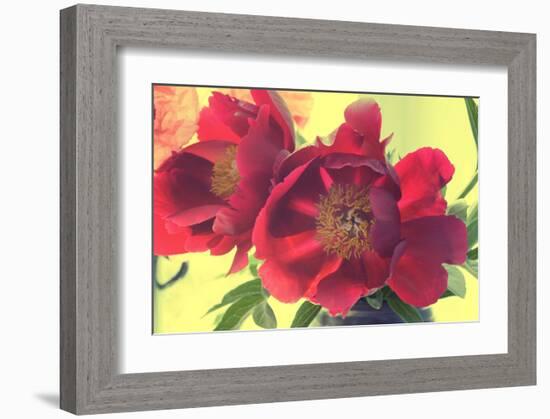 Color my World-Judy Stalus-Framed Art Print