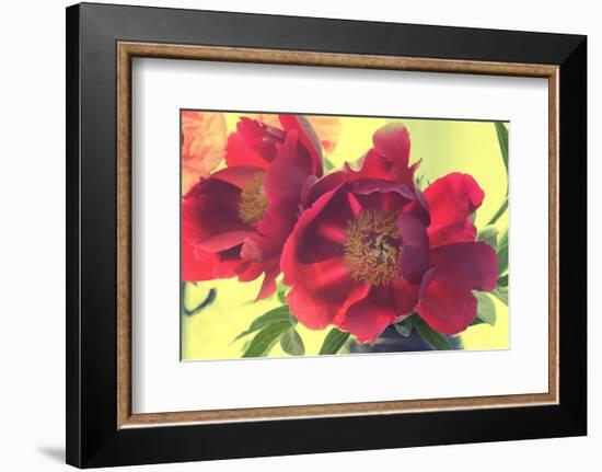 Color my World-Judy Stalus-Framed Art Print