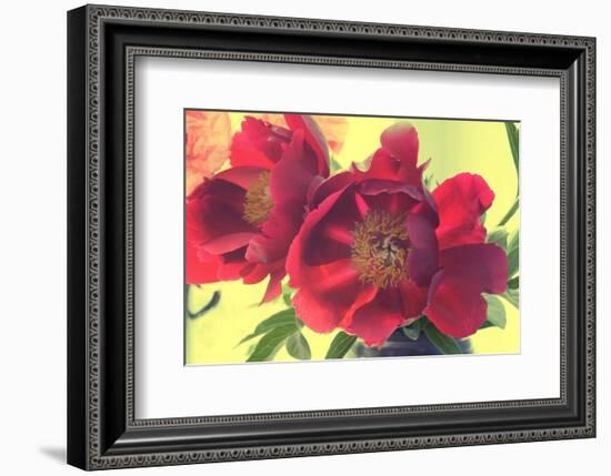 Color my World-Judy Stalus-Framed Art Print