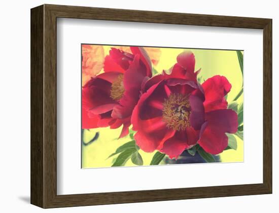 Color my World-Judy Stalus-Framed Art Print