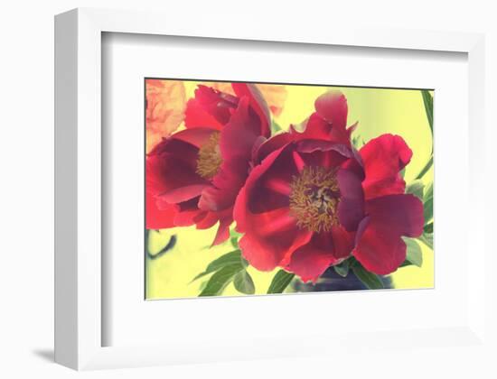 Color my World-Judy Stalus-Framed Art Print