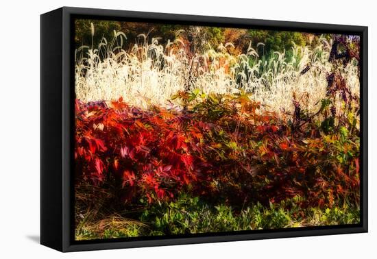 Color of Fall I-Alan Hausenflock-Framed Premier Image Canvas
