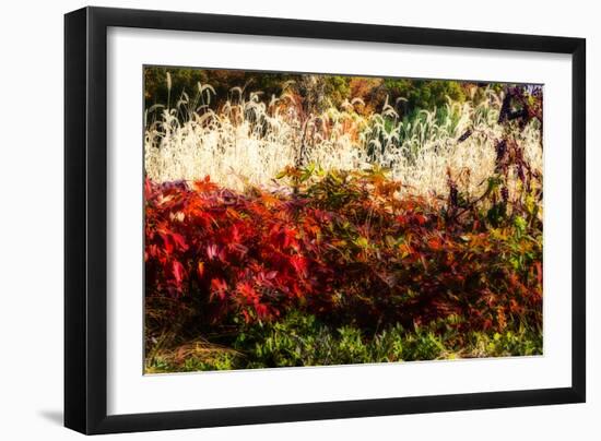 Color of Fall I-Alan Hausenflock-Framed Photographic Print