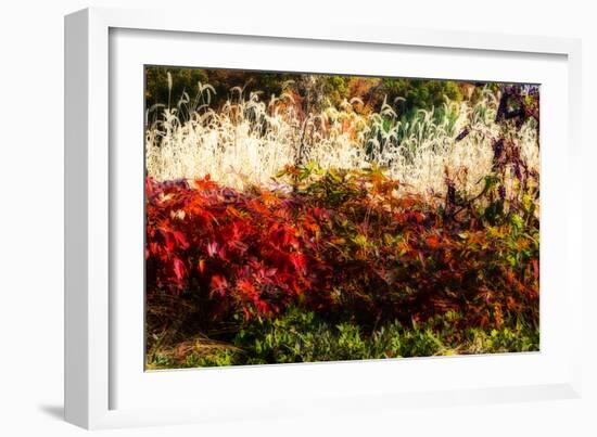 Color of Fall I-Alan Hausenflock-Framed Photographic Print