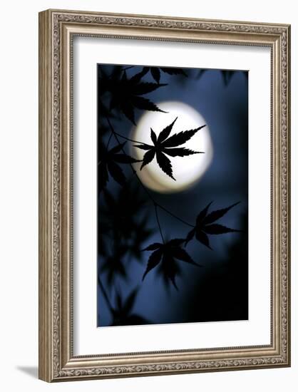 Color of Japan-null-Framed Art Print