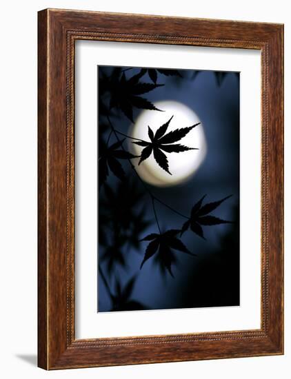 Color of Japan-null-Framed Art Print