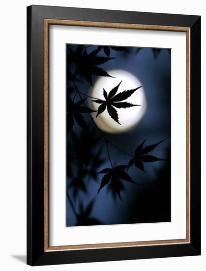 Color of Japan-null-Framed Art Print