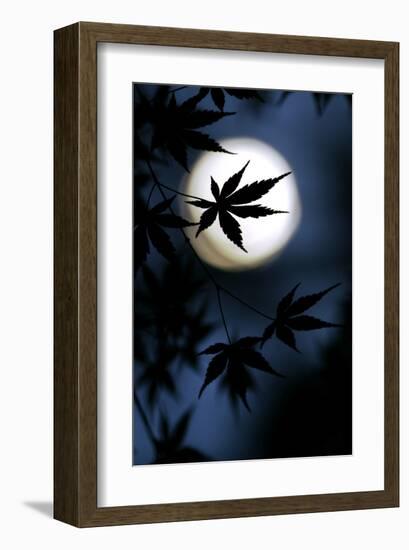 Color of Japan-null-Framed Art Print