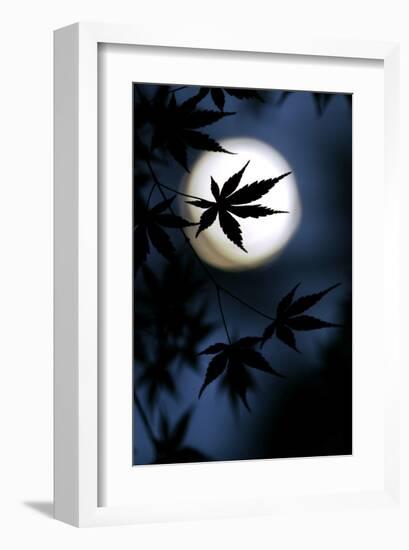 Color of Japan-null-Framed Art Print